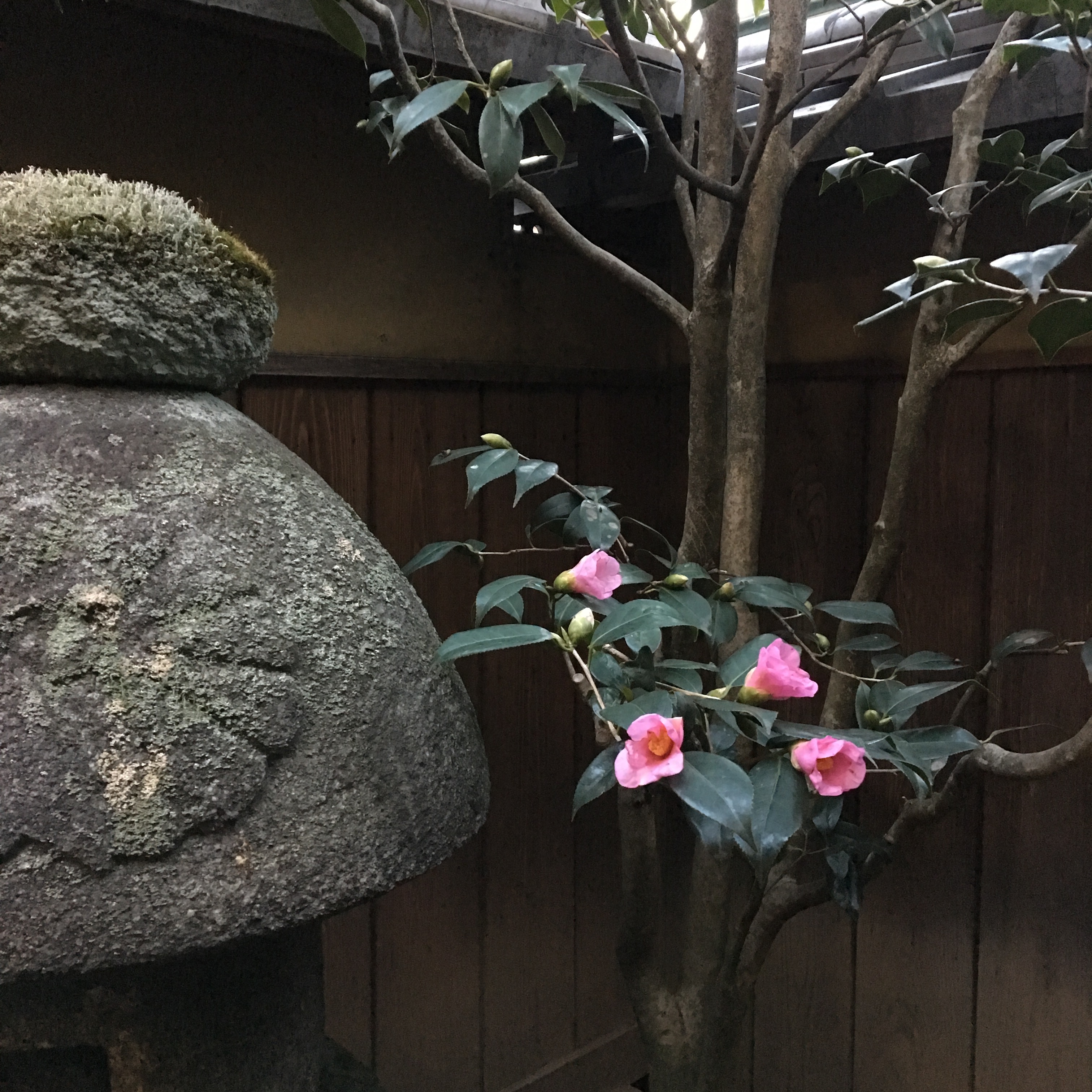 あけましておめでとうございます